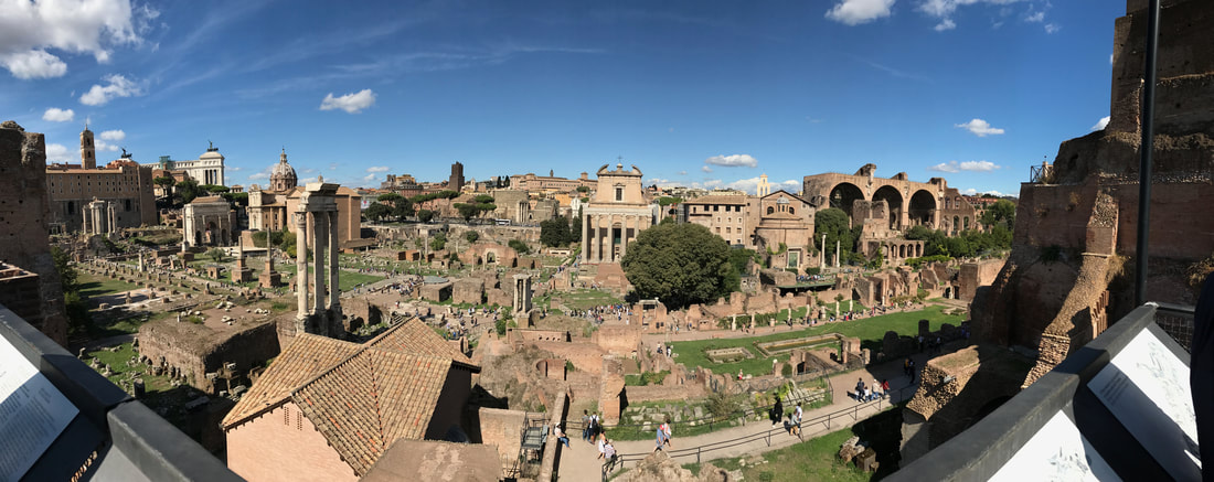 View of the Roman Forum from the Palatine Hill