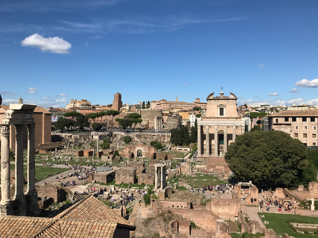 The Roman Forum from the Palatine Hill
