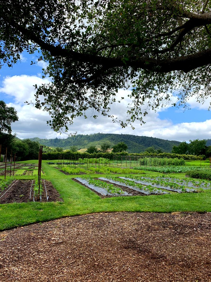 The French Laundry Garden, Yountville