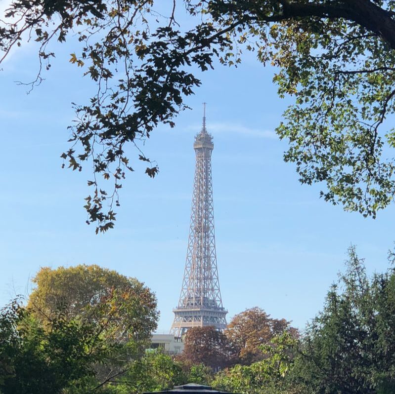 The Eiffel Tower. Paris Left Bank Guide.