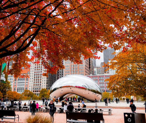 What to Wear in Chicago This Fall. Pints, Pounds, & Pate.
