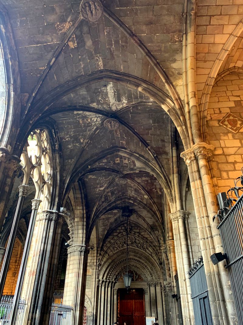 Courtyard, Barcelona Cathedral, Barcelona, Spain.