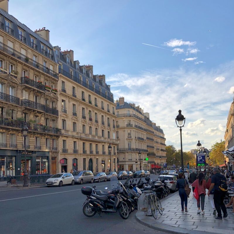 Paris's Left Bank