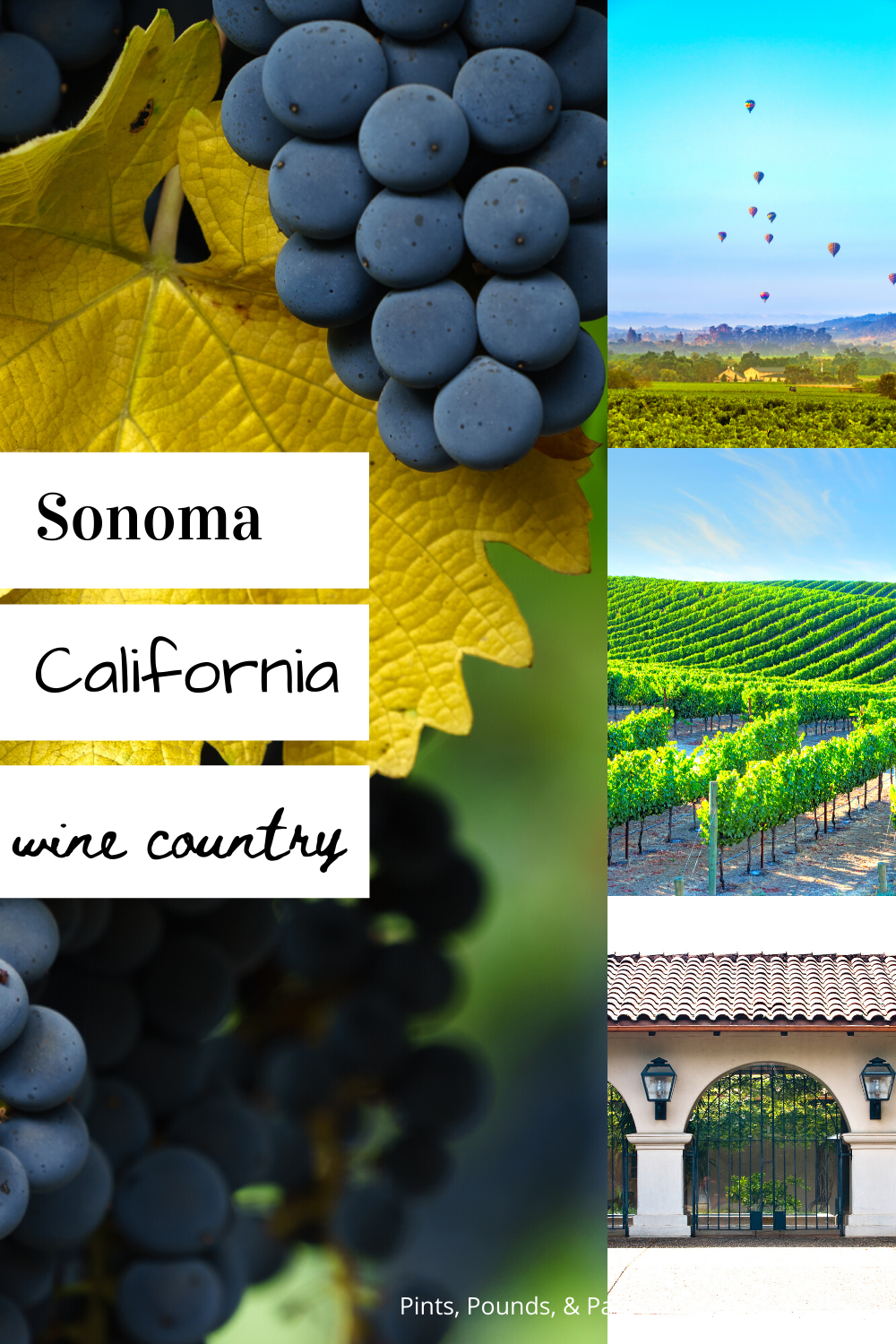 What to do in Sonoma, California
