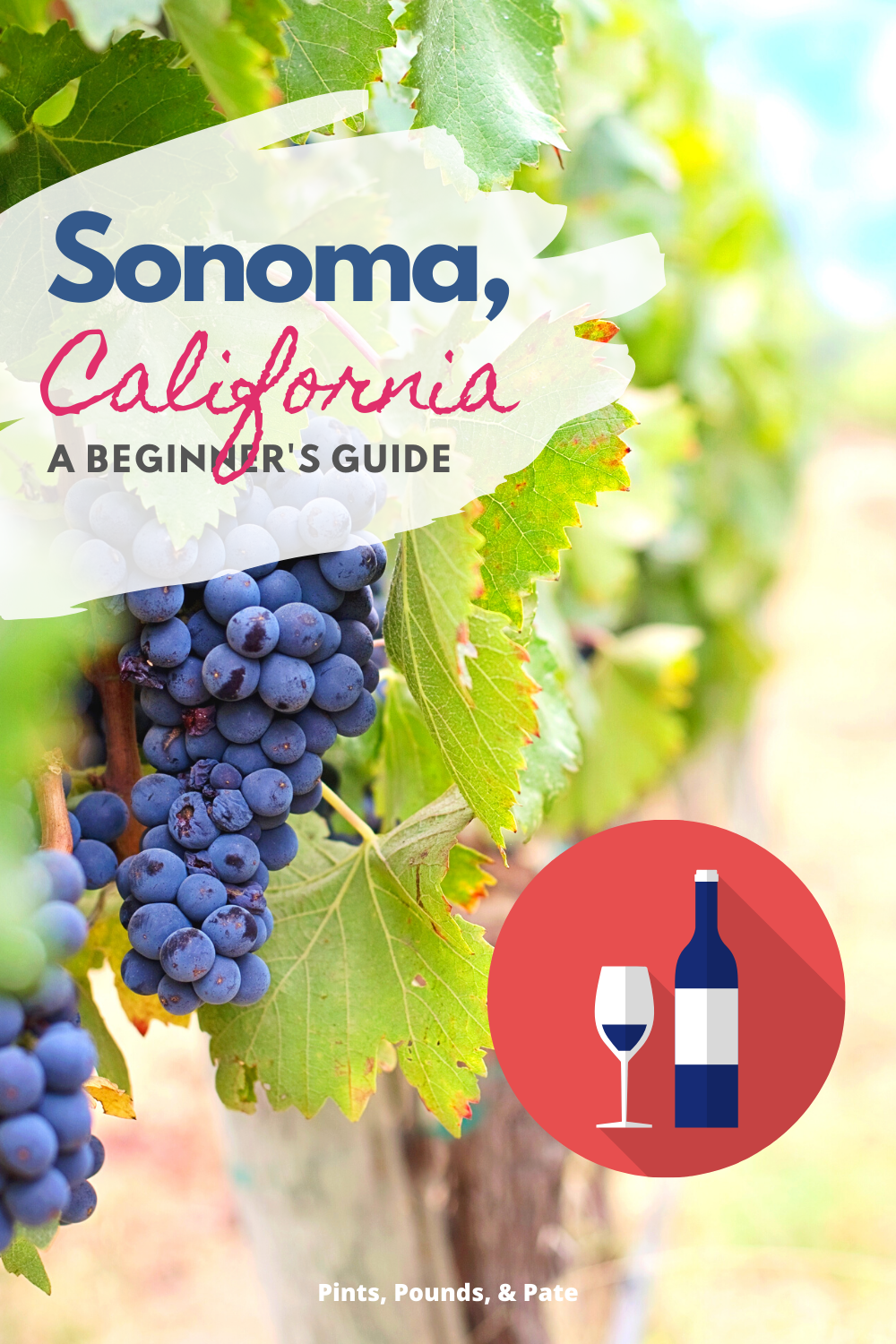 What to do in Sonoma, California