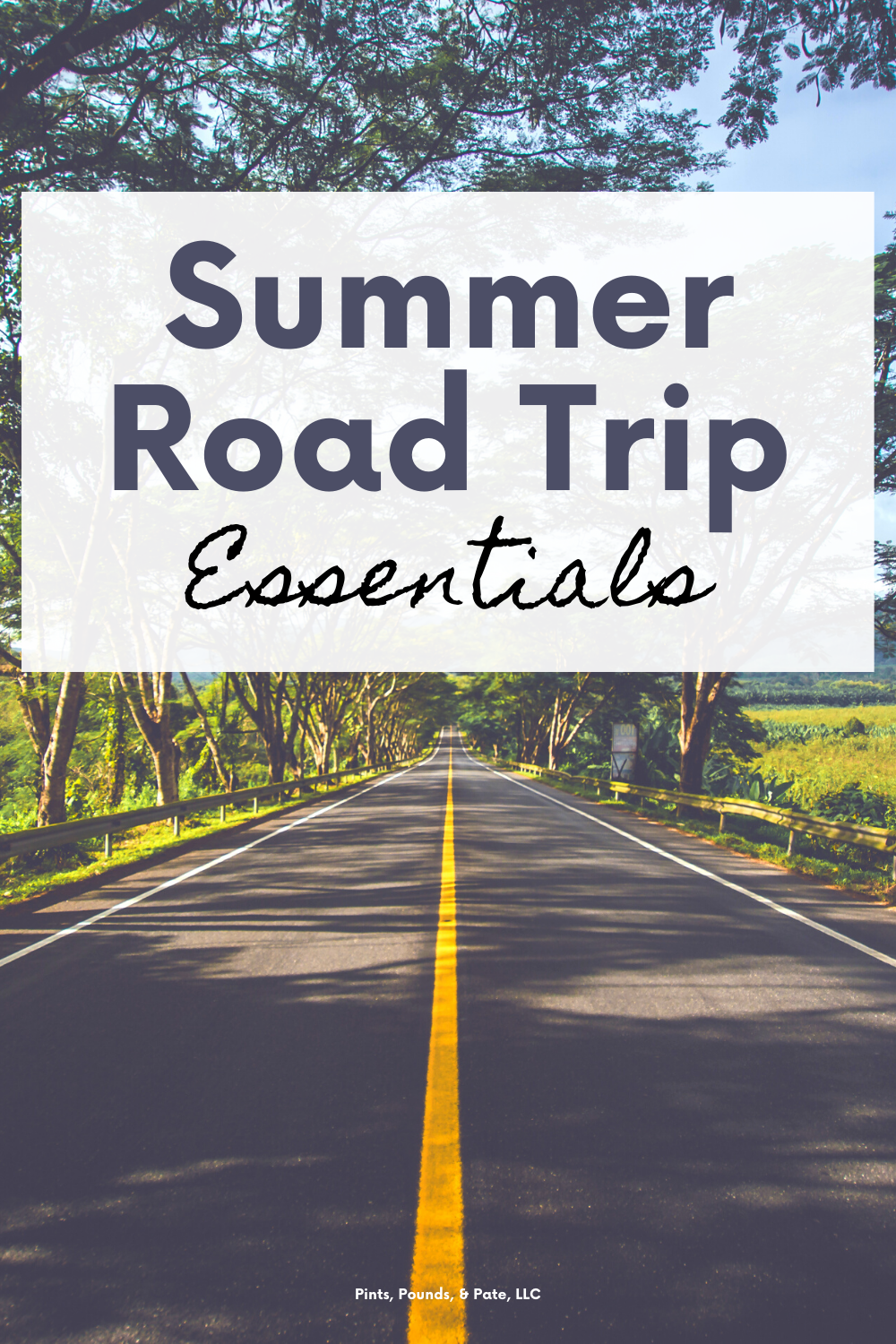 Summer Road Trip Essentials