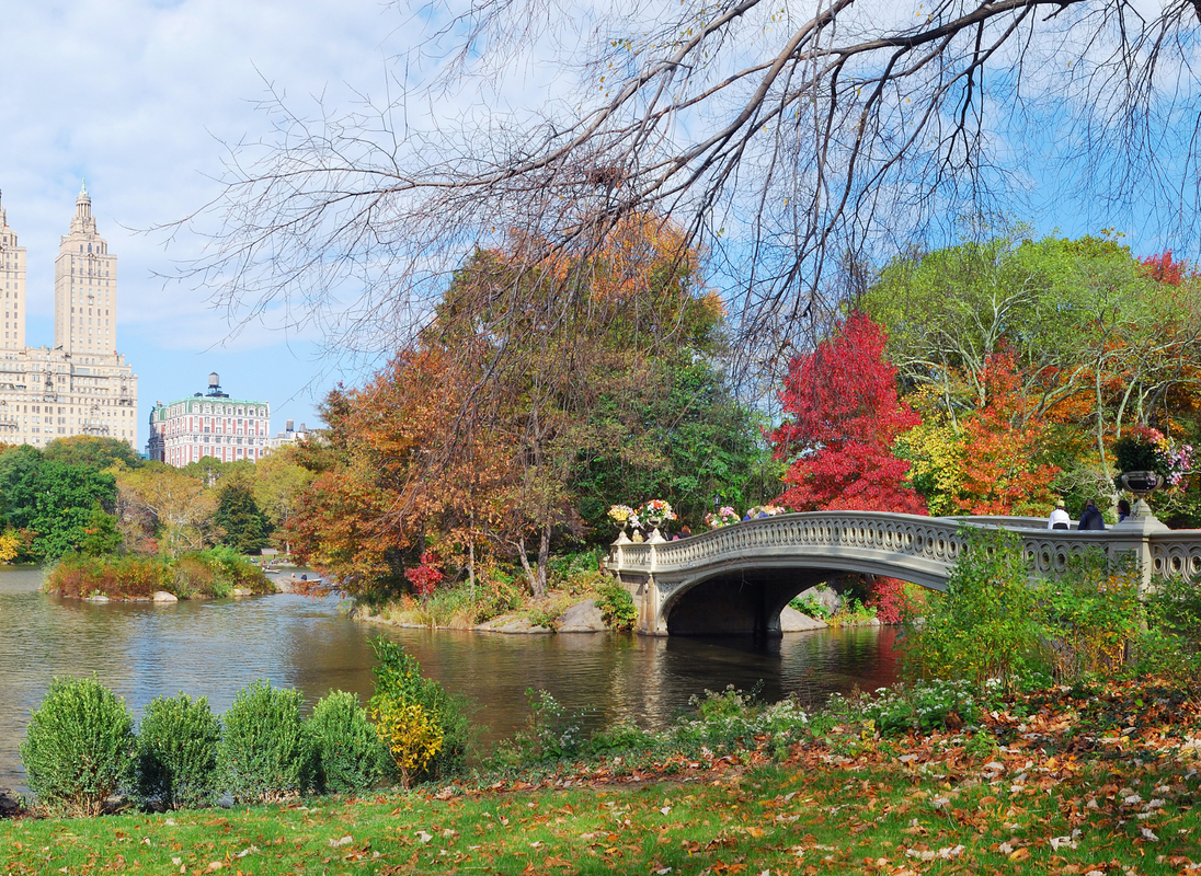 Central Park in October. What to Wear in New York in October.