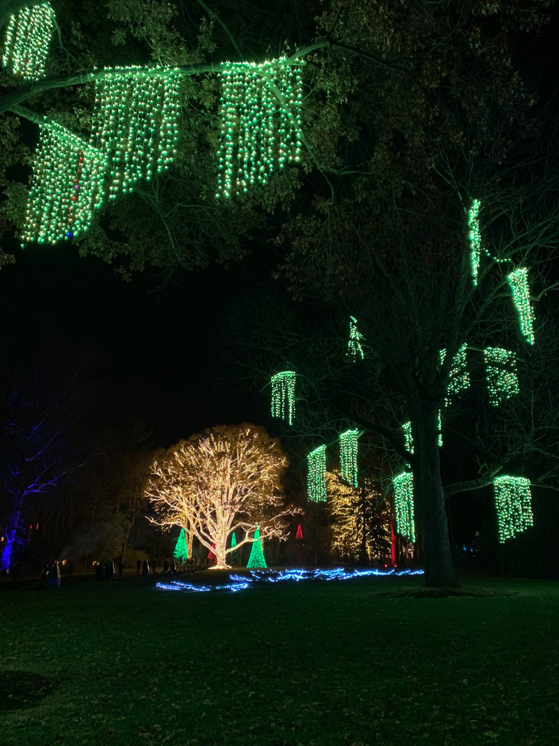Newfields, Winterlights. Indianapolis Christmas Events, 2019